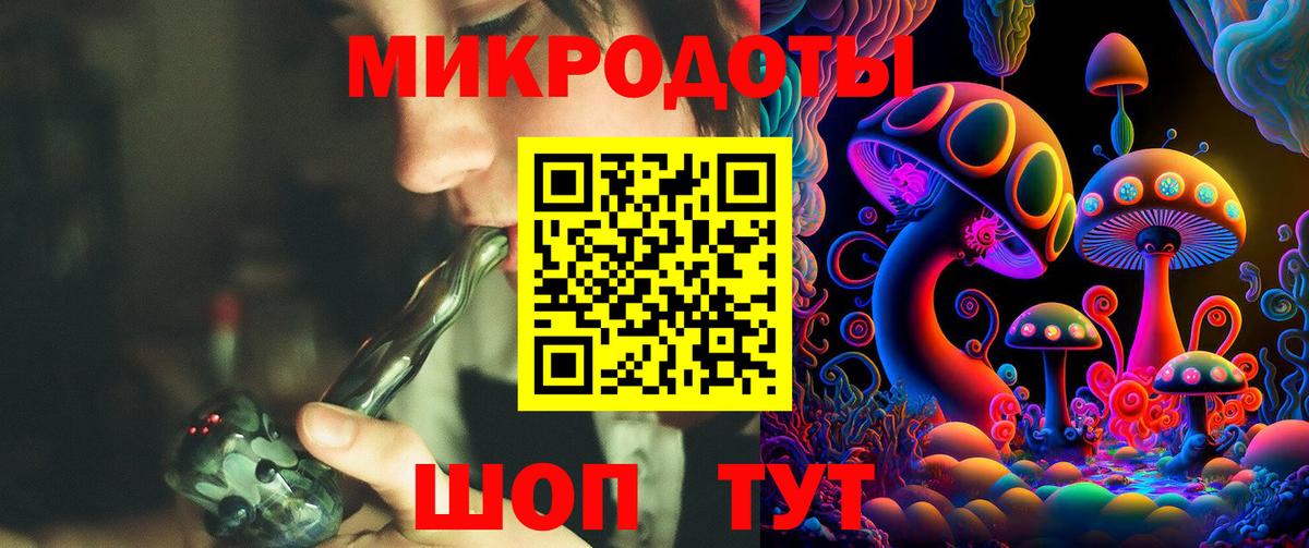 Санкт-Петербург  Галлюциногенные грибы Psilocybine cubensis  Вход с VPN 